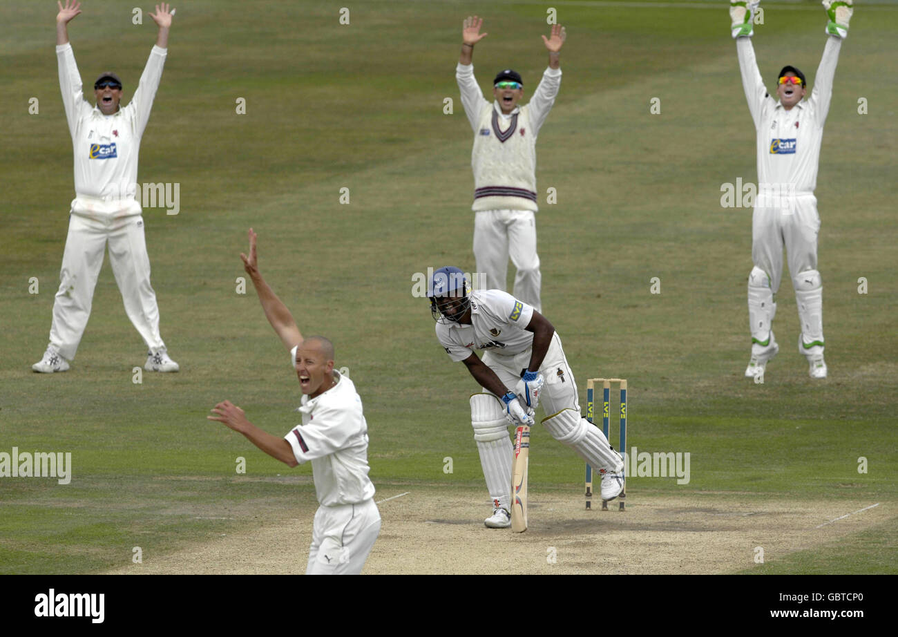 Das Somerset-Team feiert, nachdem Sussex's Dwayne Smith während des Spiels der Liverpool Victoria County Championship auf dem County Ground in Hove LBW vom Bowling von Sussex's Charl Willoughby (unten) gefangen hält. Stockfoto