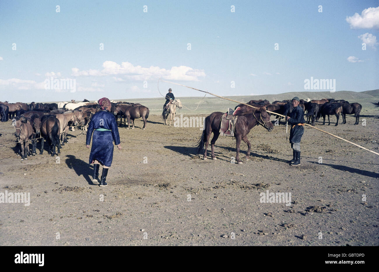 Geographie / Reisen, Mongolei, Tradition / Folklore, Pferdeherden, Gobi Wüste, 1971, zusätzliche-Rechte-Clearences-nicht vorhanden Stockfoto