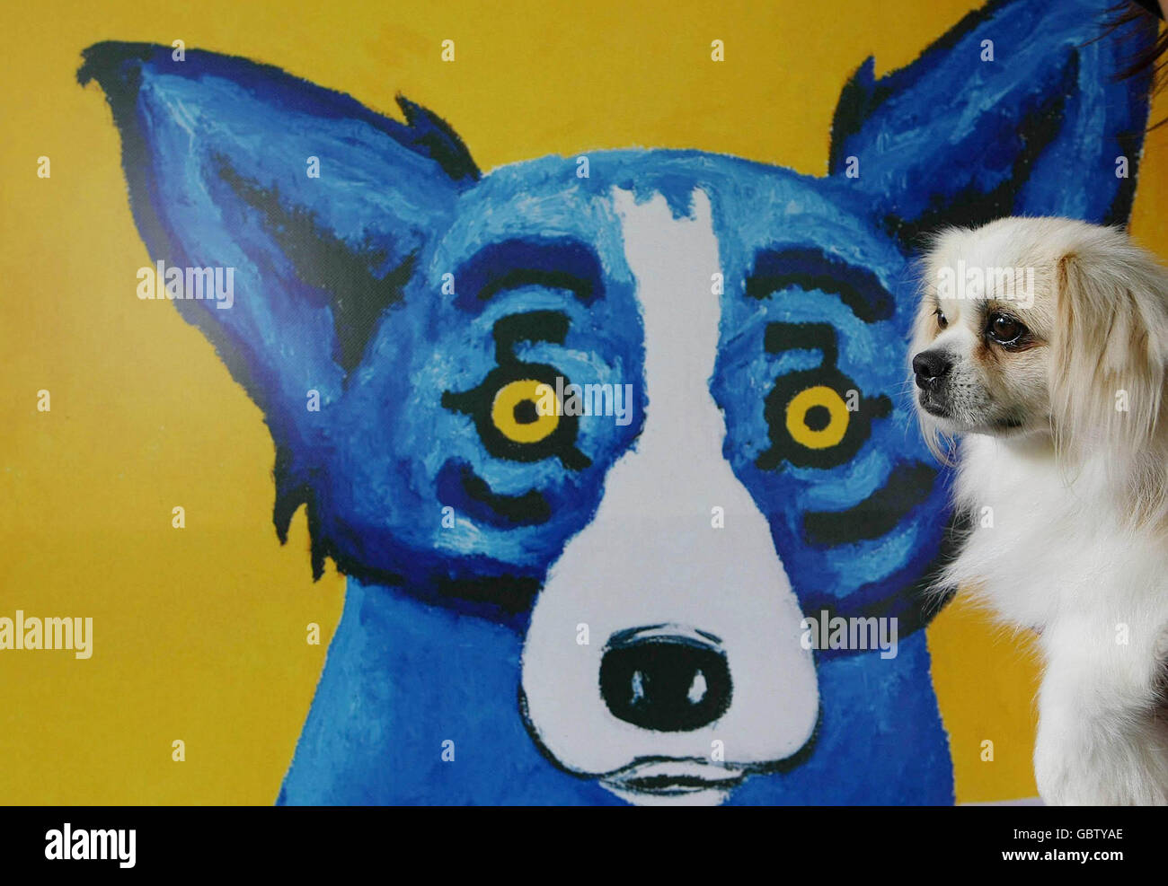 George rodrigue blauer hund -Fotos und -Bildmaterial in hoher Auflösung –  Alamy