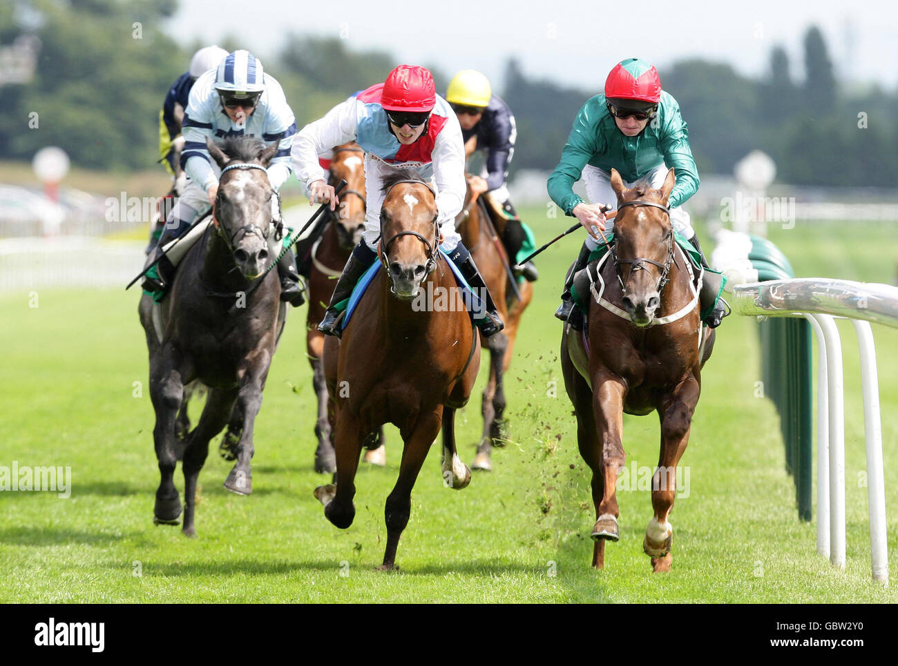 Horse Racing - bet365 alte Newton Cup Day - Haydock Park Stockfoto