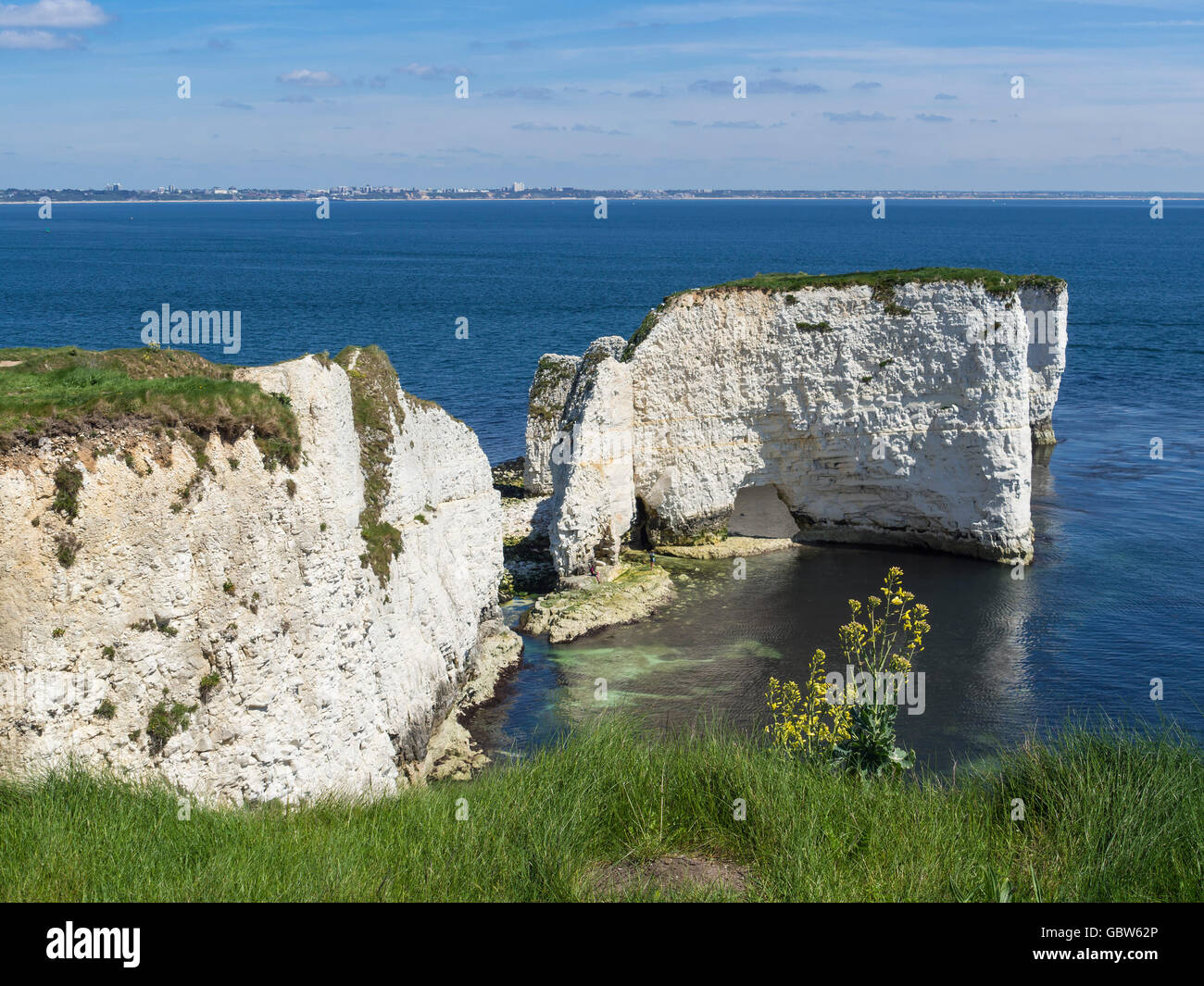 Old Harry Rocks in Swanage Bay, in der Nähe von Handfast Point, Isle of Purbeck, Dorset, Großbritannien Stockfoto