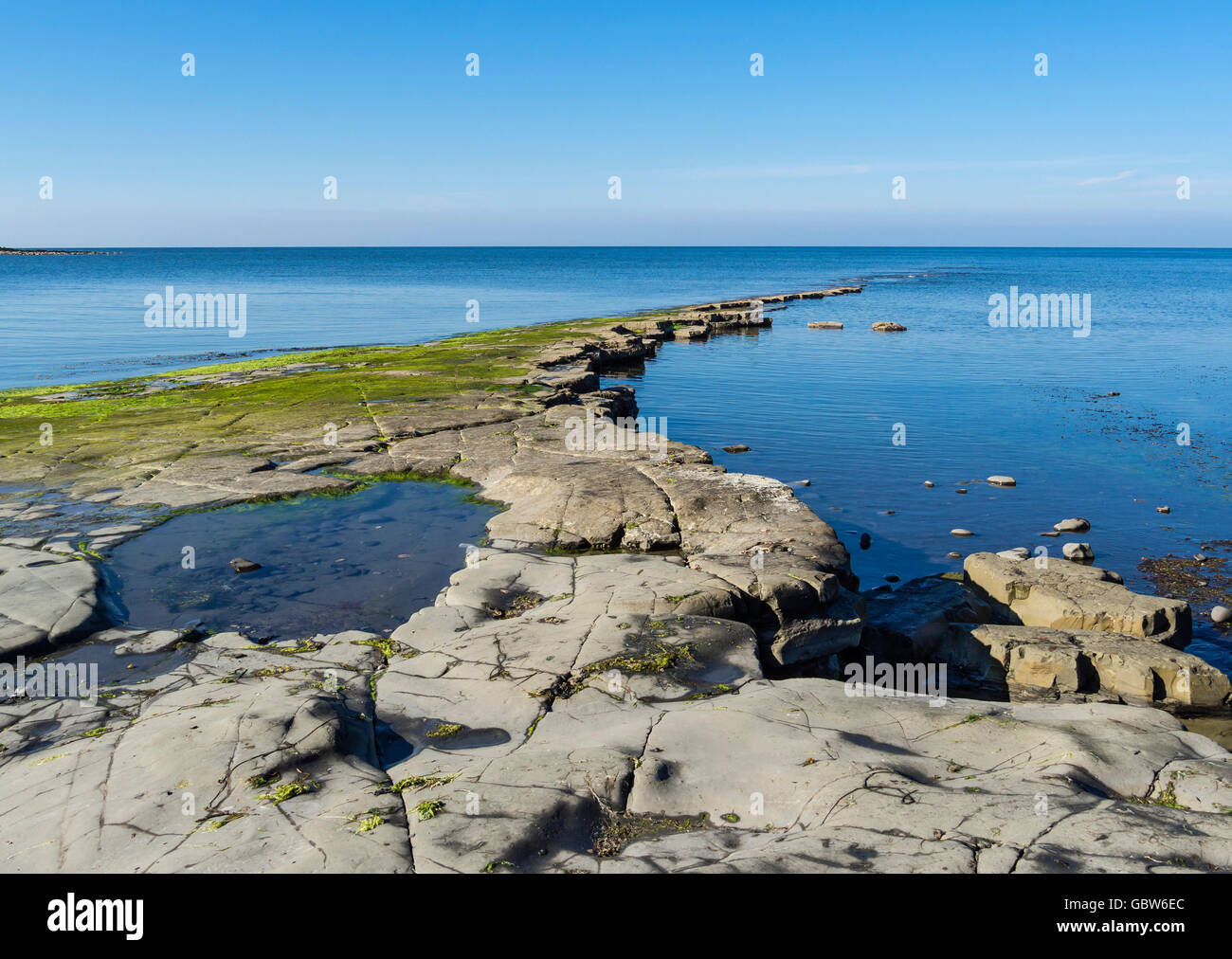 Felsenpool und Kalkstein Vorsprünge im Kimmeridge Bay, Purbeck, Dorset, England, UK Stockfoto