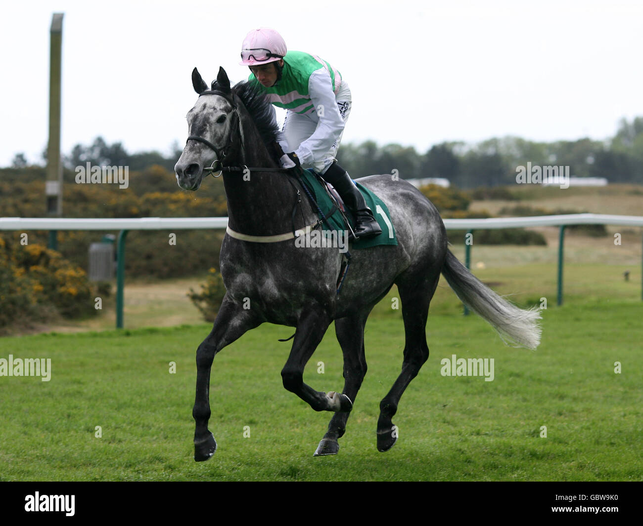 Jockey Shane Kelly auf Grey Boy geht zu posten in Das ladderlesswindows.co.uk Handicap Stockfoto