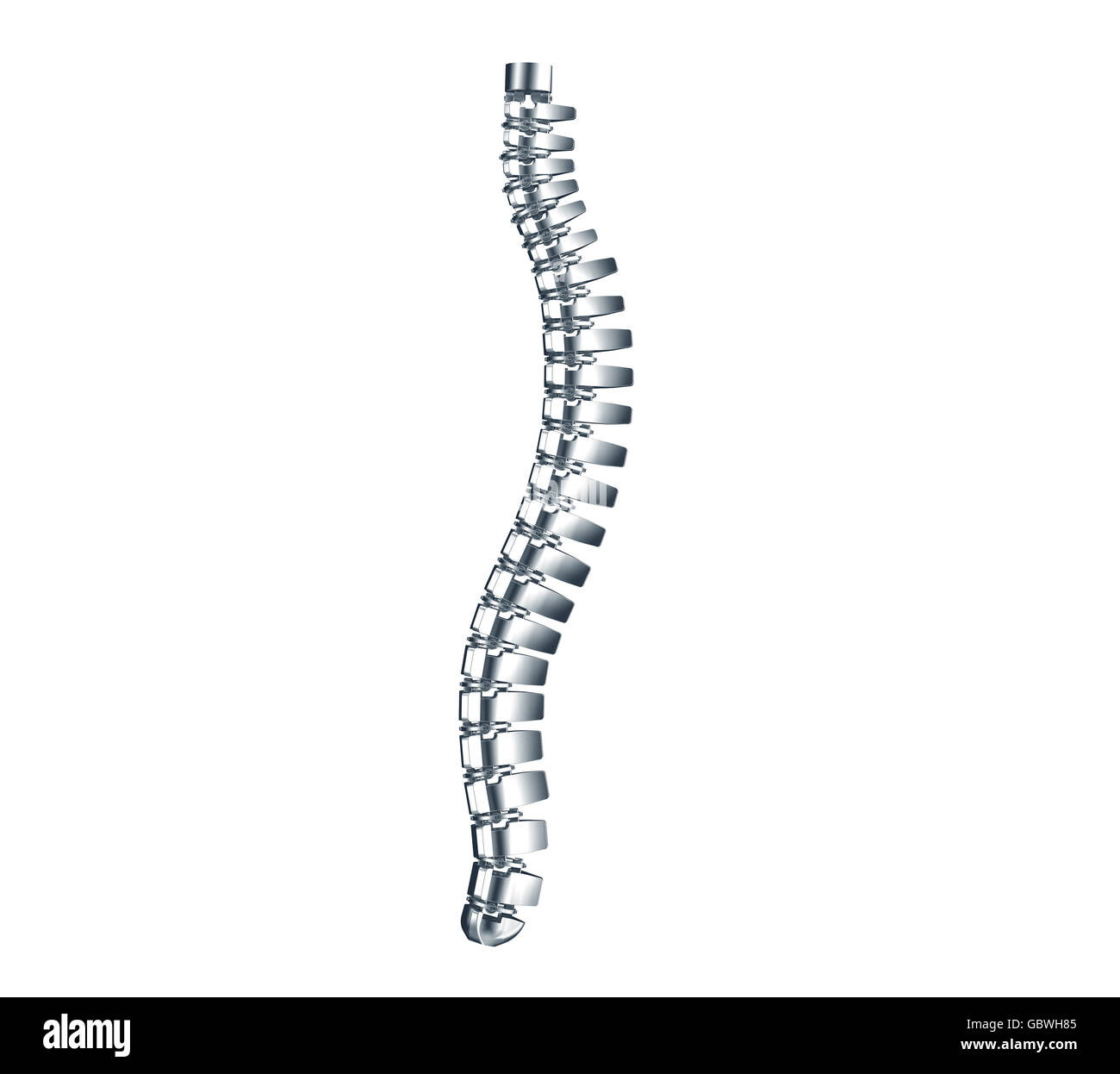 Stahl menschlichen Wirbelsäule isoliert auf weiss, 3d Illustration Stockfoto