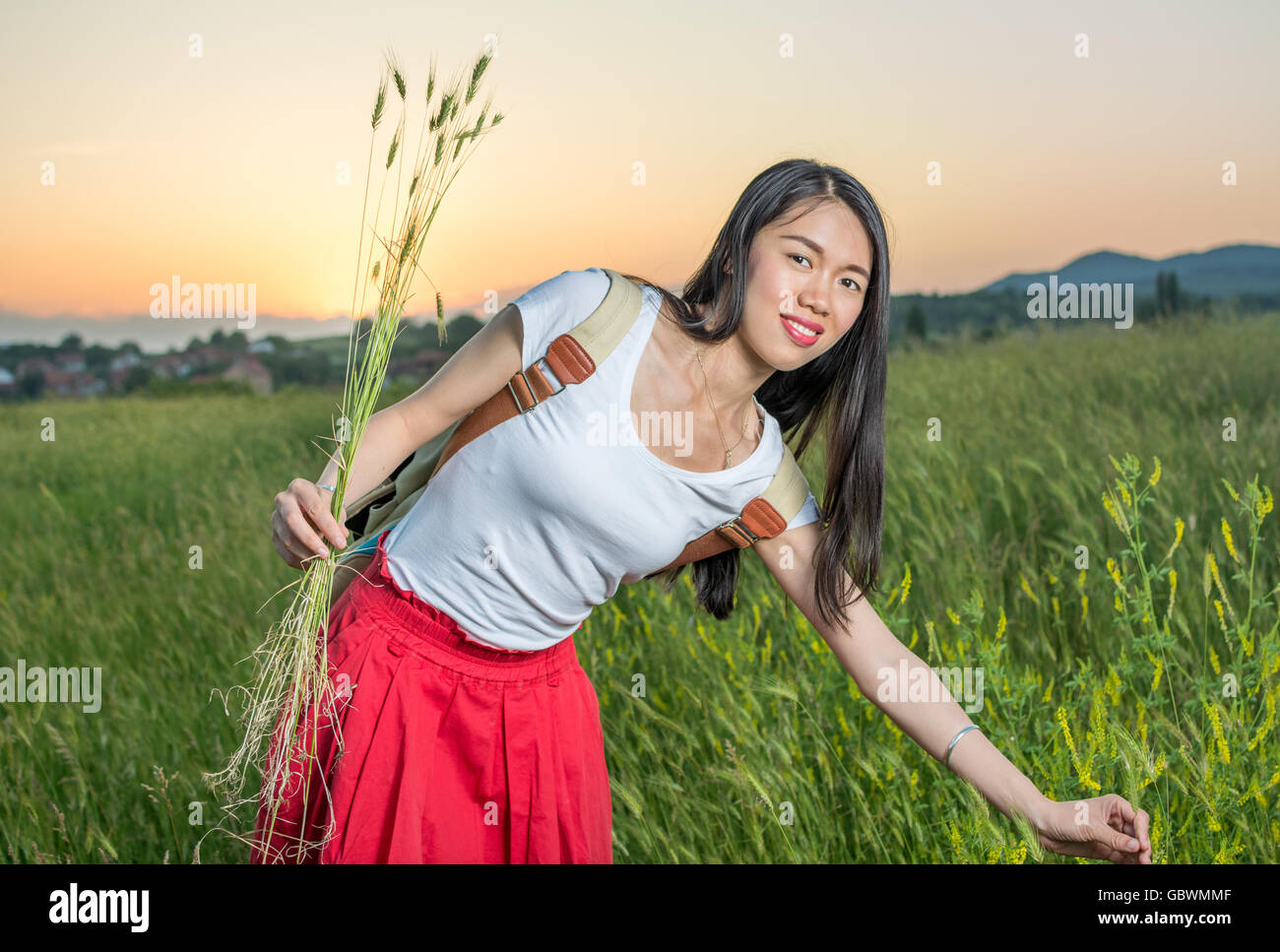 Mädchen Blumen pflücken in einem Weizenfeld bei Sonnenuntergang Stockfoto