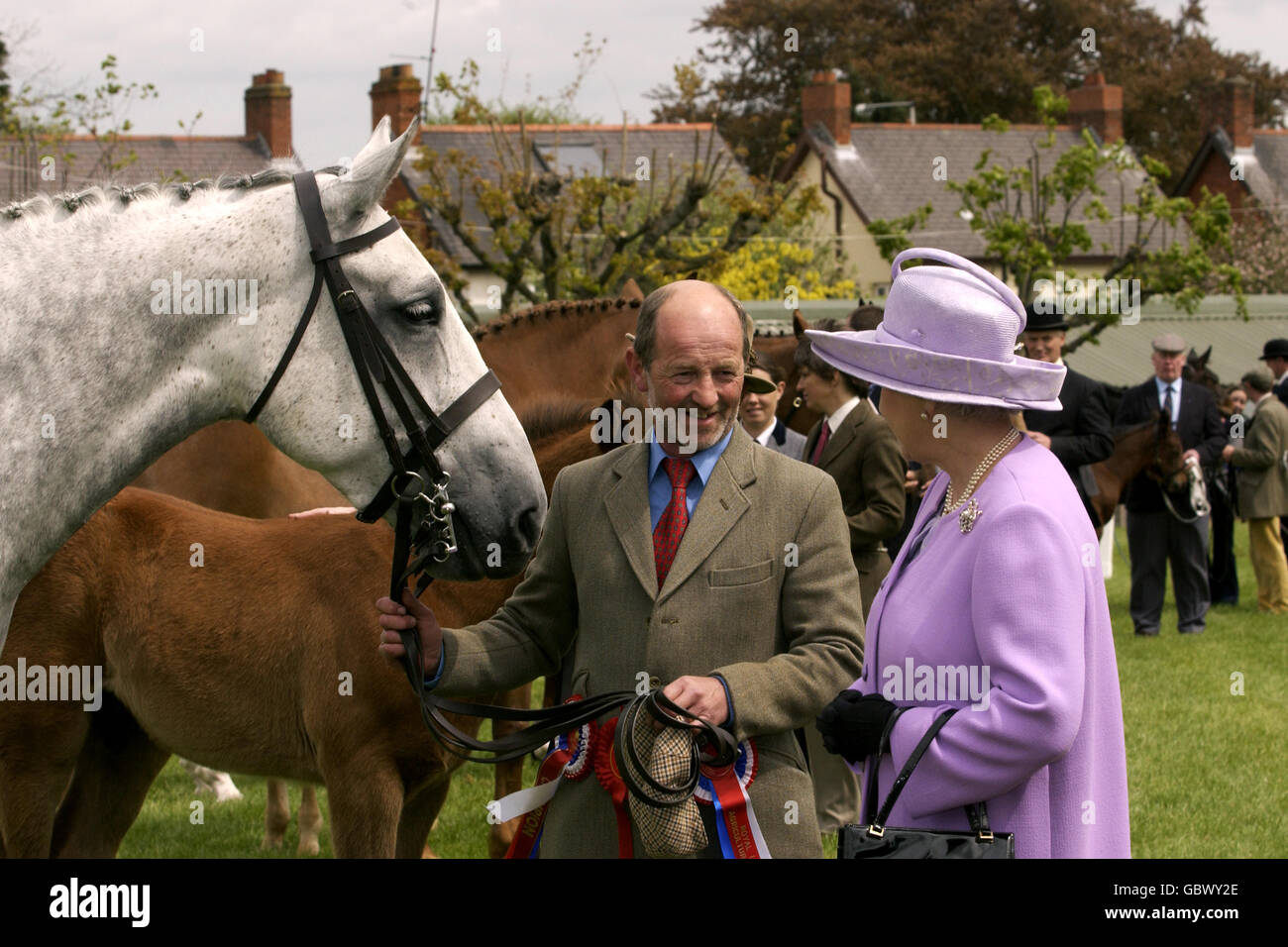Königin Elizabeth II. Besucht die Royal Ulster Agricultural Show, Balmoral am letzten Tag des Golden Jubilee Besuches der Königin in Nordirland. Stockfoto