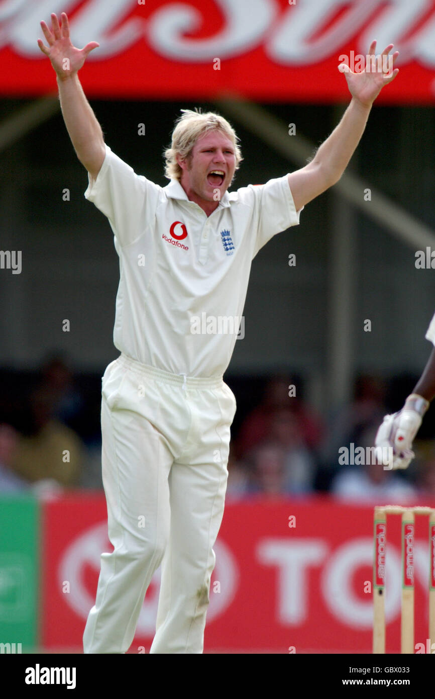 Cricket - npower Second Test - England gegen Westindien - Tag drei. Matthew Hoggard, England Stockfoto