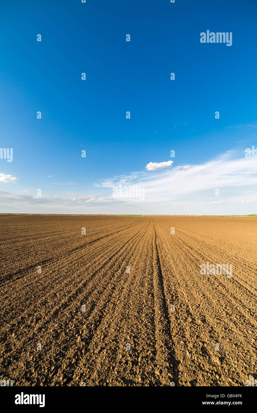 Agrarlandschaft, Ackerkulturen Feld Stockfoto
