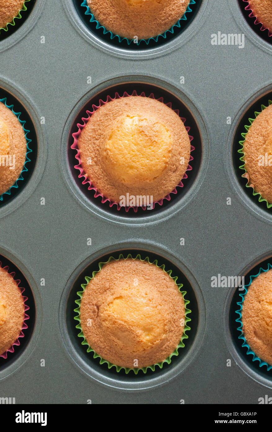 Frisch gebackene Schwamm, Cupcakes oder Feenkuchen in einem Muffin-Zinn-Top down-Ansicht Stockfoto