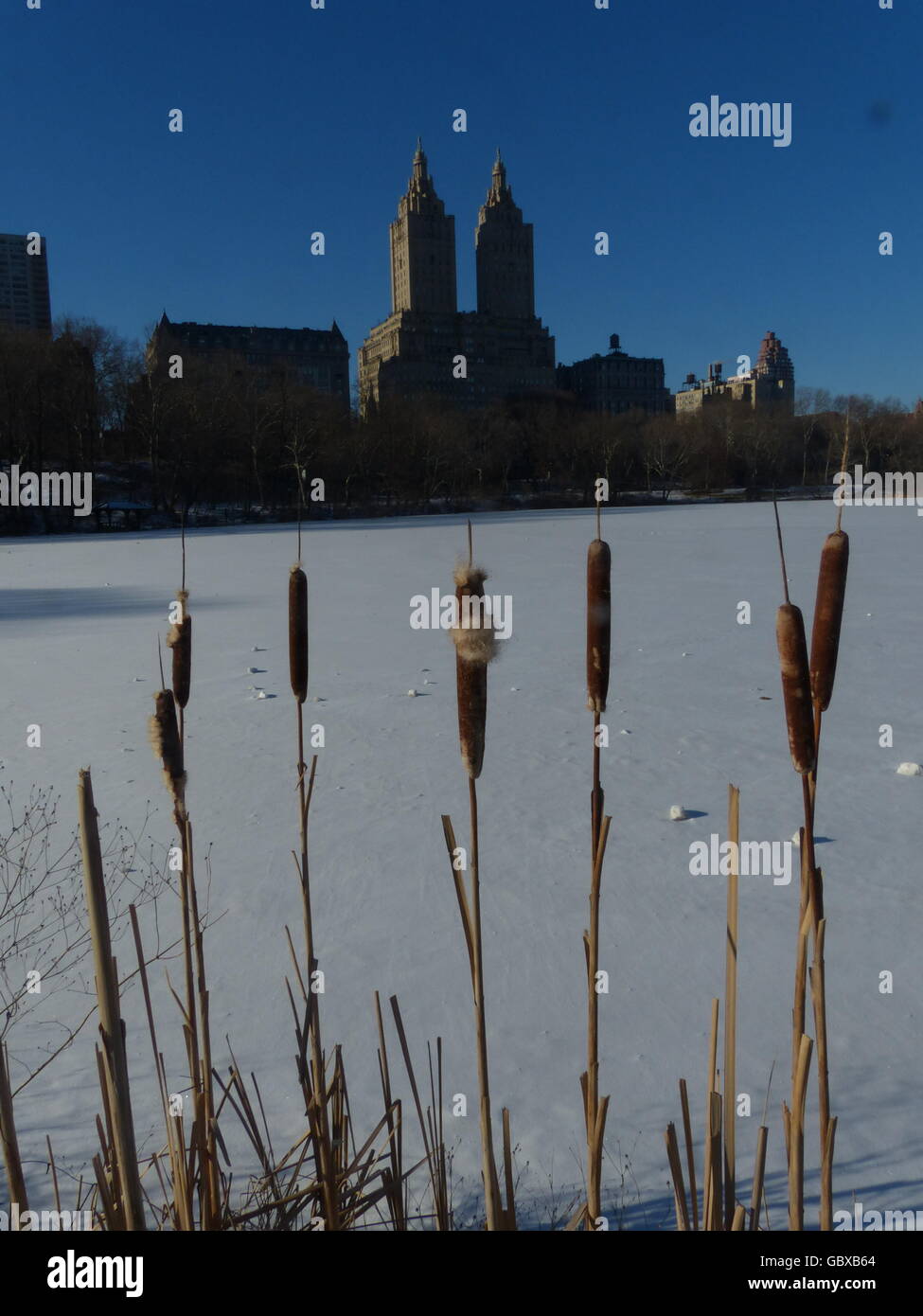 SAR-Remo am Central Park West, New York Stockfoto