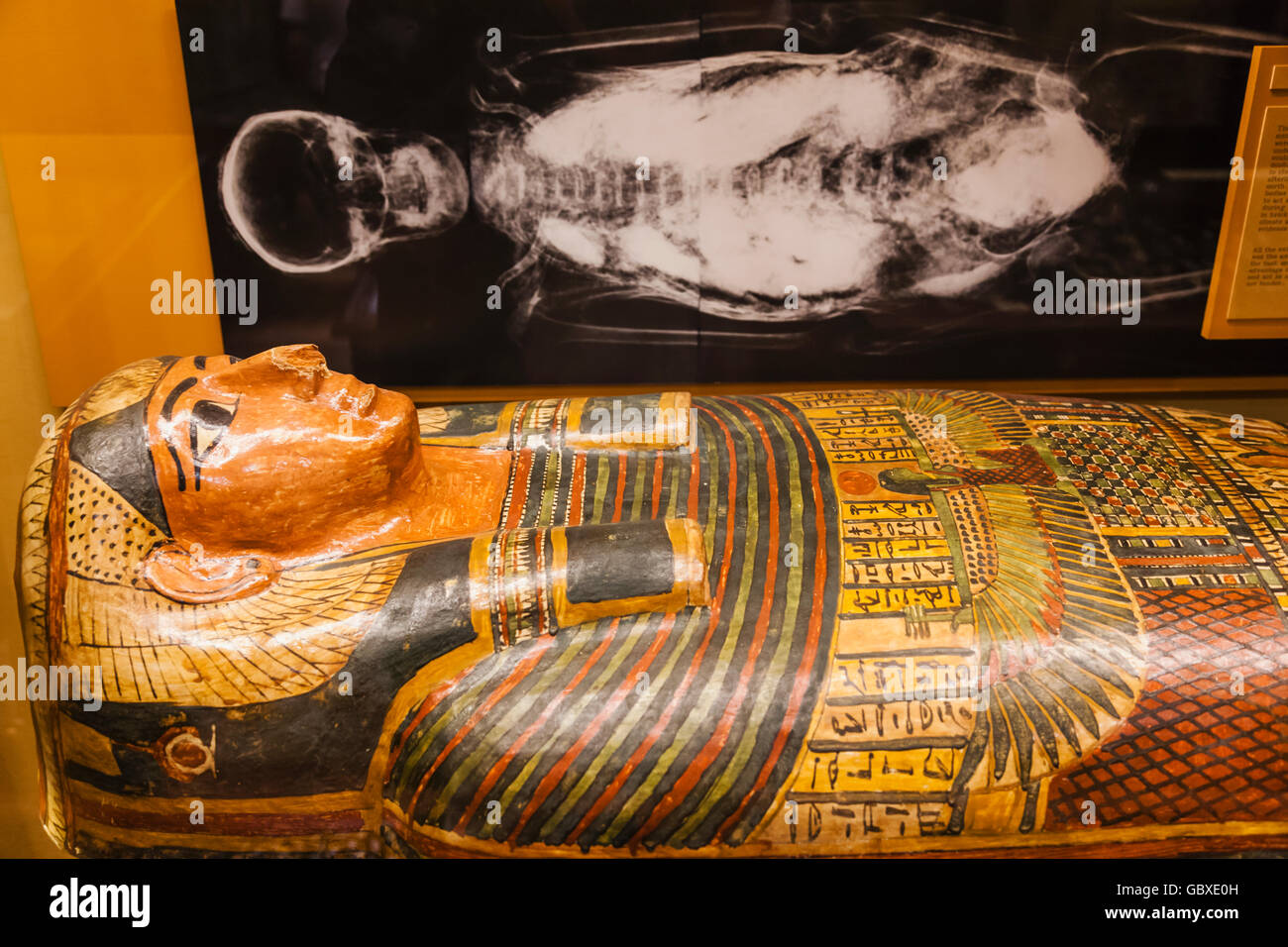 Pitt Rivers Museum, Oxford, Oxfordshire, England Anzeige der ägyptischen Mumie Stockfoto