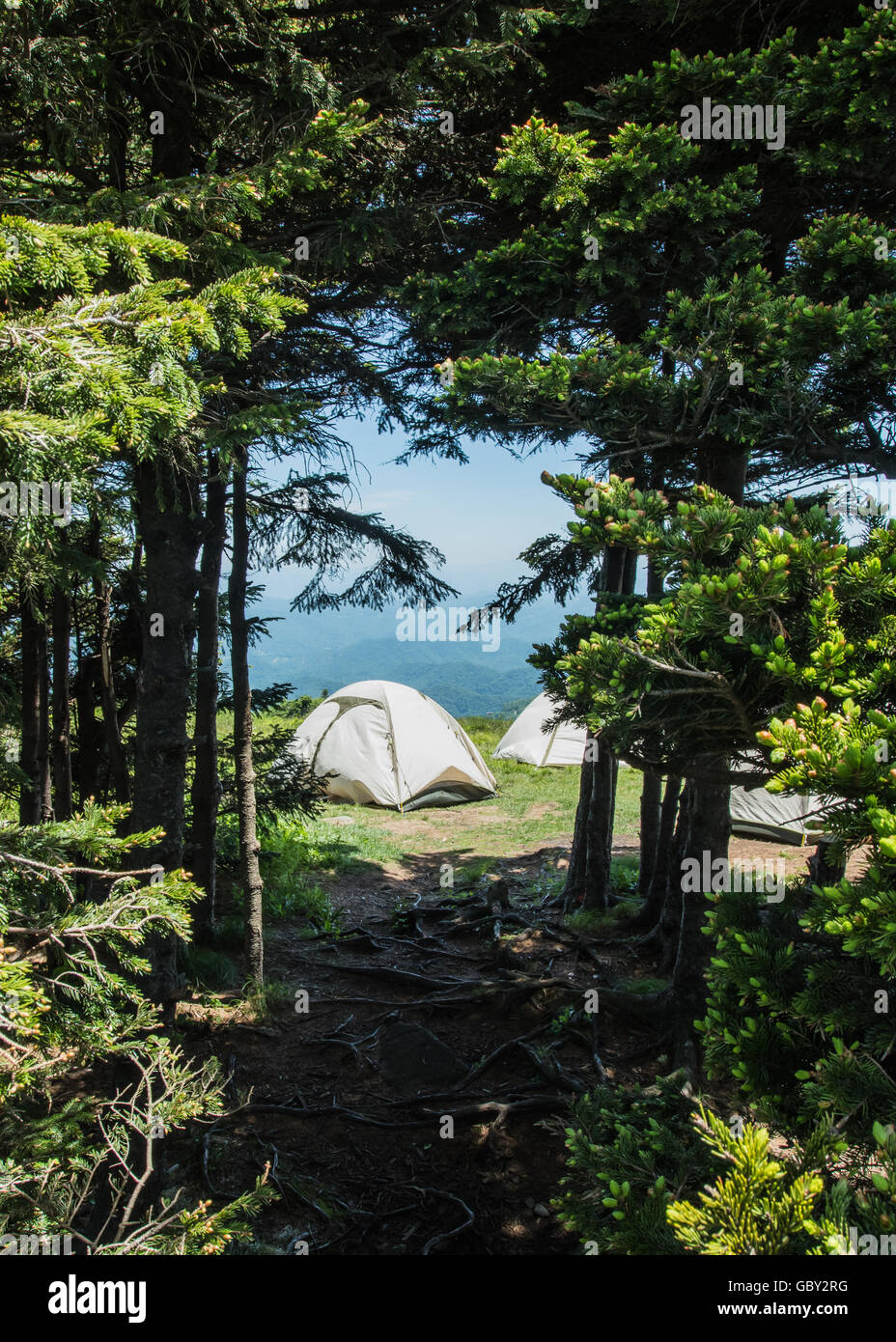 Wald, ein geheimes Stellplatz verlassen Stockfoto