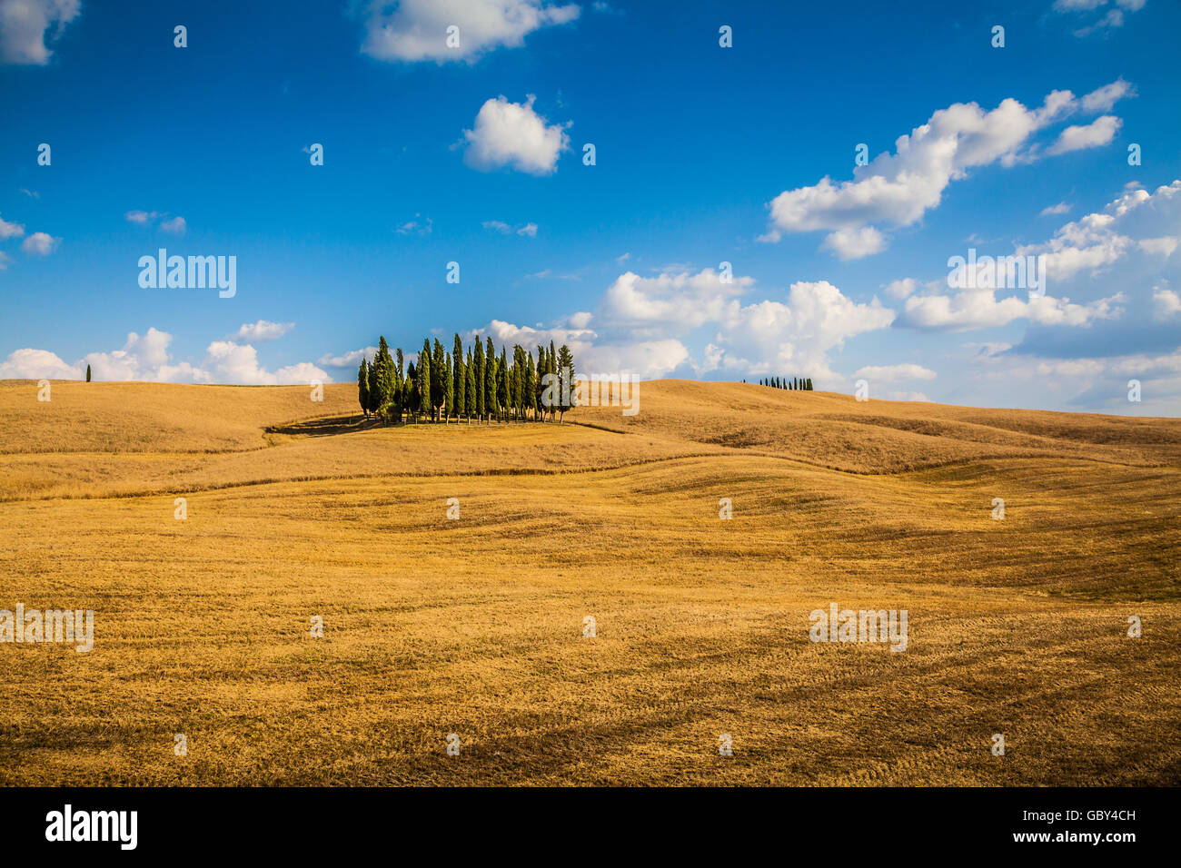Panoramablick auf der malerischen toskanischen Landschaft mit goldenen Erntefeldern und berühmten Gruppe von Zypressen liegt auf einem Hügel auf einer su Stockfoto