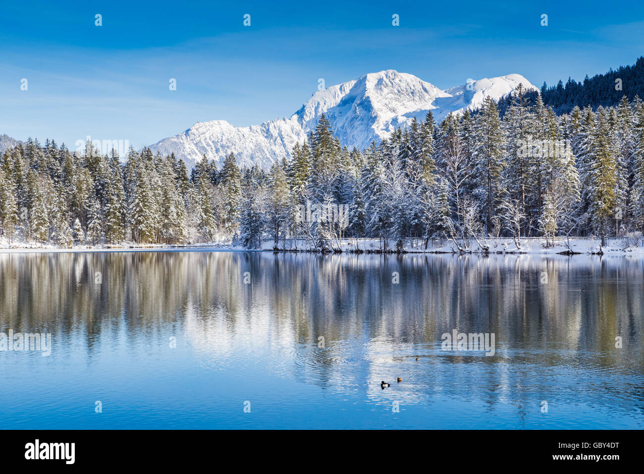 Idyllische Winterlandschaft mit kristallklaren Bergsee in den Alpen an einem kalten, sonnigen Tag Stockfoto
