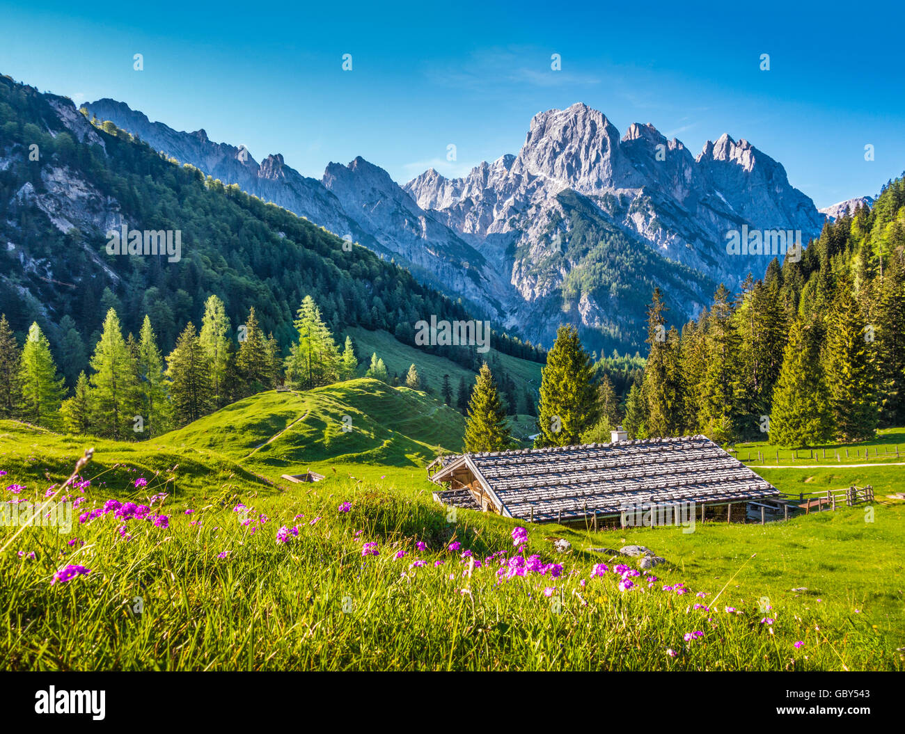 Idyllische Landschaft in den Alpen mit traditionellen Berghütte und frische grüne Almen mit blühenden Blumen bei Sonnenuntergang Stockfoto