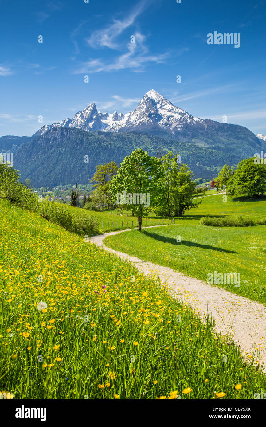 Idyllische Landschaft in den Alpen mit frischen grünen Almen und schneebedeckten Berggipfeln im Hintergrund im Sommer Stockfoto
