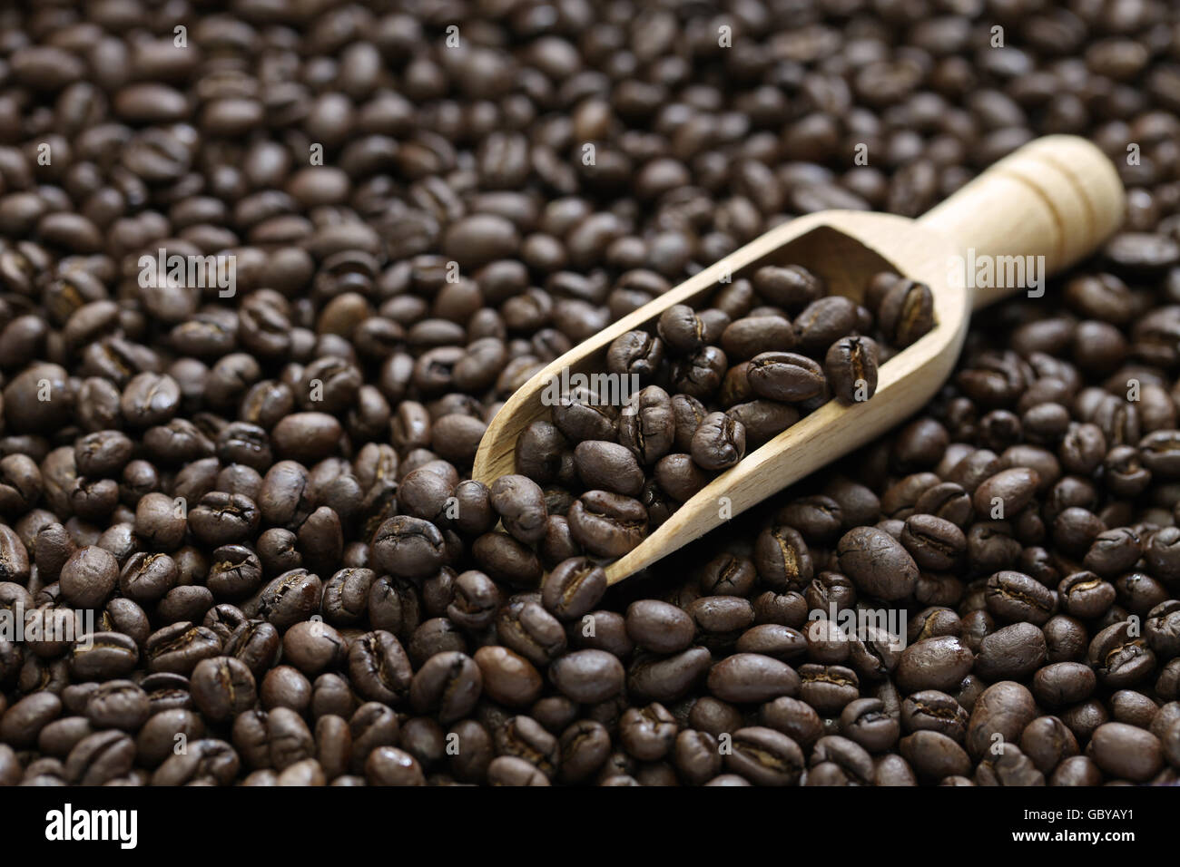 geröstete Peaberry Kaffeebohnen Stockfoto