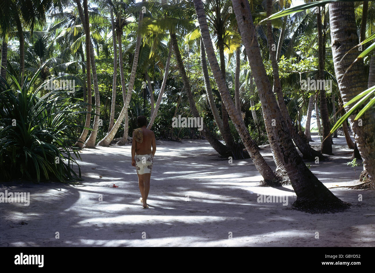 Geographie / Reisen, Malediven, Landschaften, Tourist in einem Palmenwald auf einem der Atolle, 1974, Additional-Rights-Clearences-not available Stockfoto