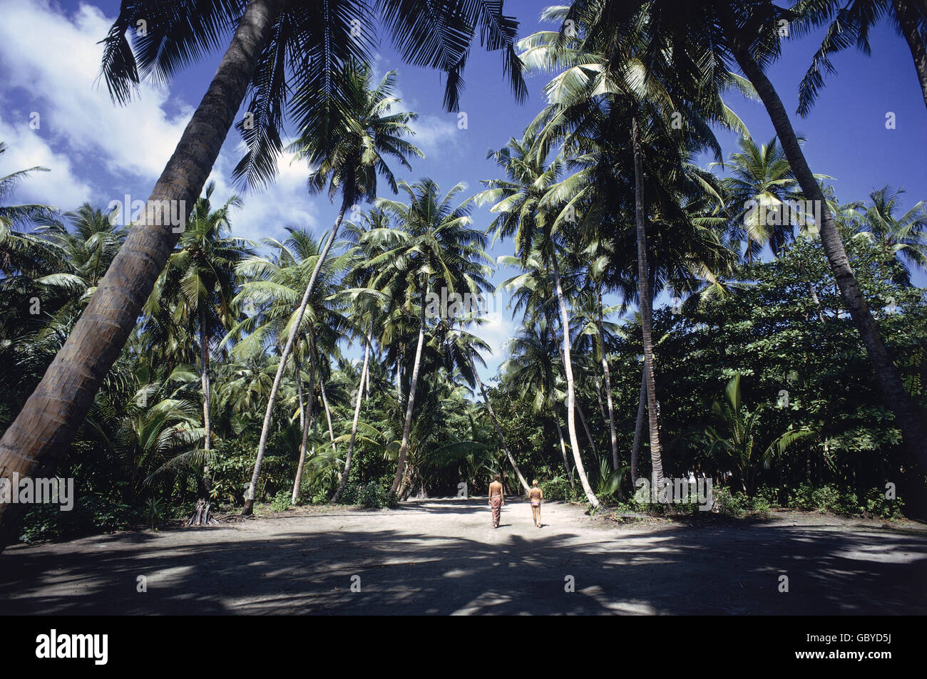 Geographie / Reisen, Malediven, Landschaften, Touristen in einem Palmenwald auf einem der Atolle, 1974, Additional-Rights-Clearences-not available Stockfoto