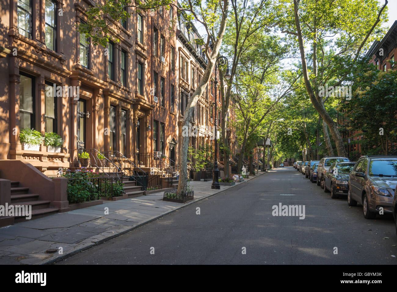 Bäumen gesäumten Straße mit attraktiven Brownstone Gebäude in wohlhabenden Wohngegend in Brooklyn Heights, New York Stockfoto