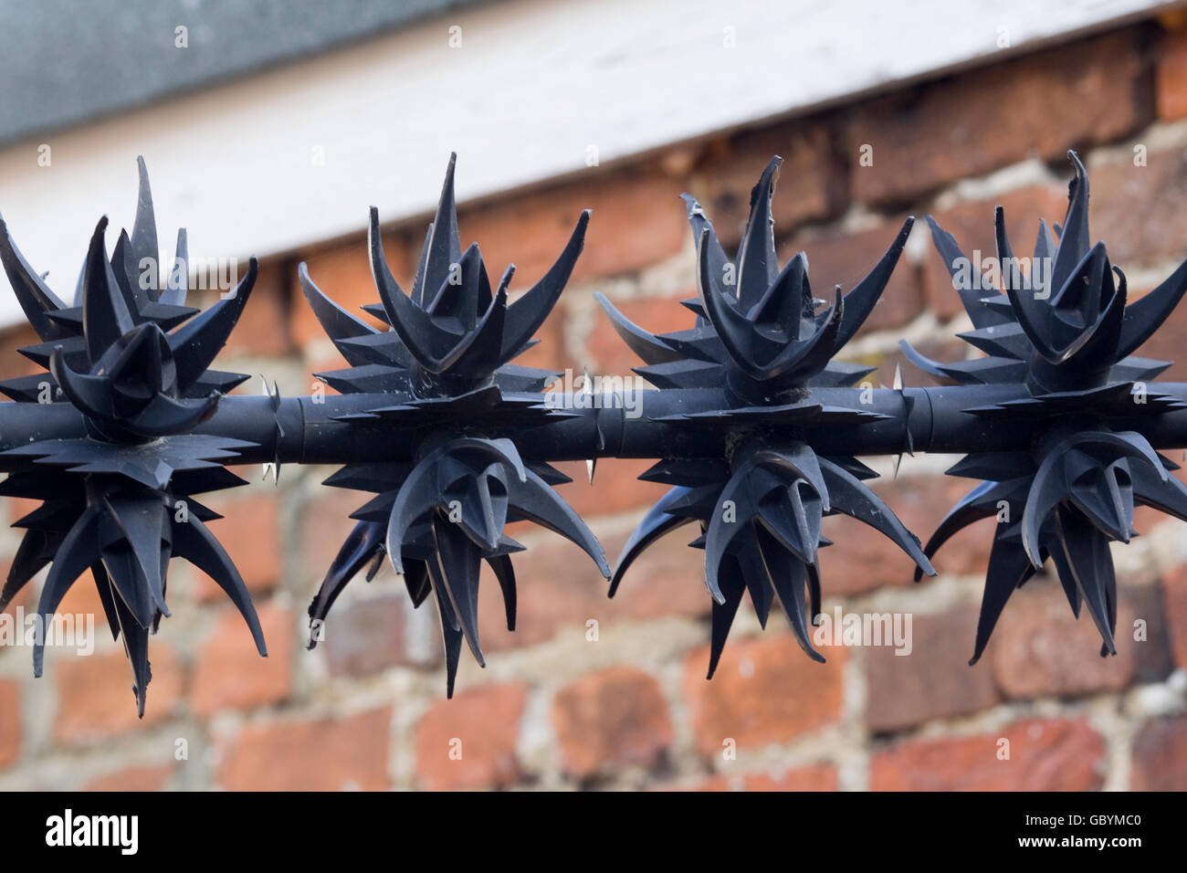 Sicherheit-Umzäunung mit scharfen Gusseisen spikes Stockfoto