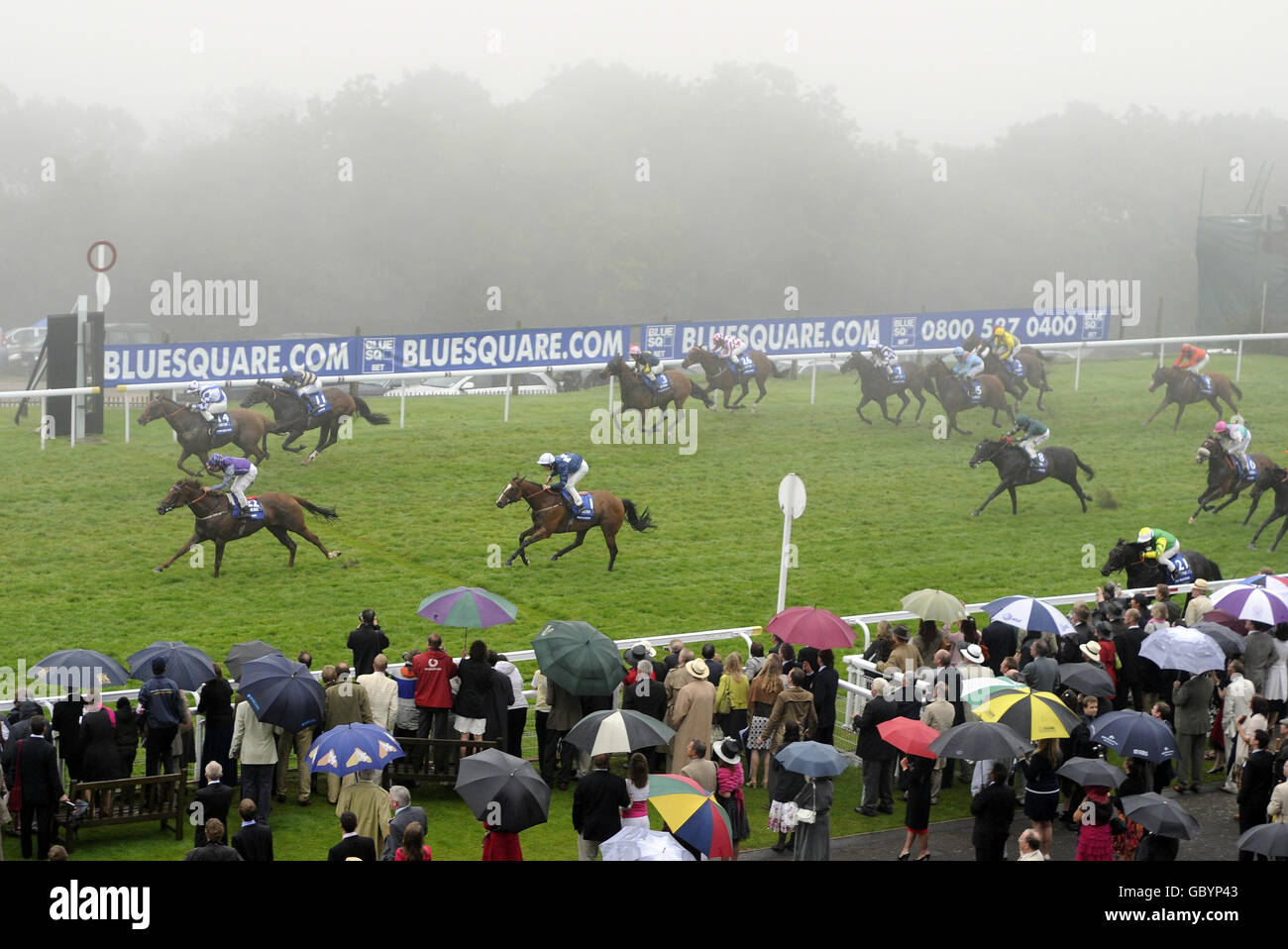 Genki mit Steve Drowne (links, violette Spitze) gewinnt den Stewards' Cup bluesquare.com während des glorreichen Goodwood Festivals auf der Goodwood Rennbahn, Chichester. Stockfoto