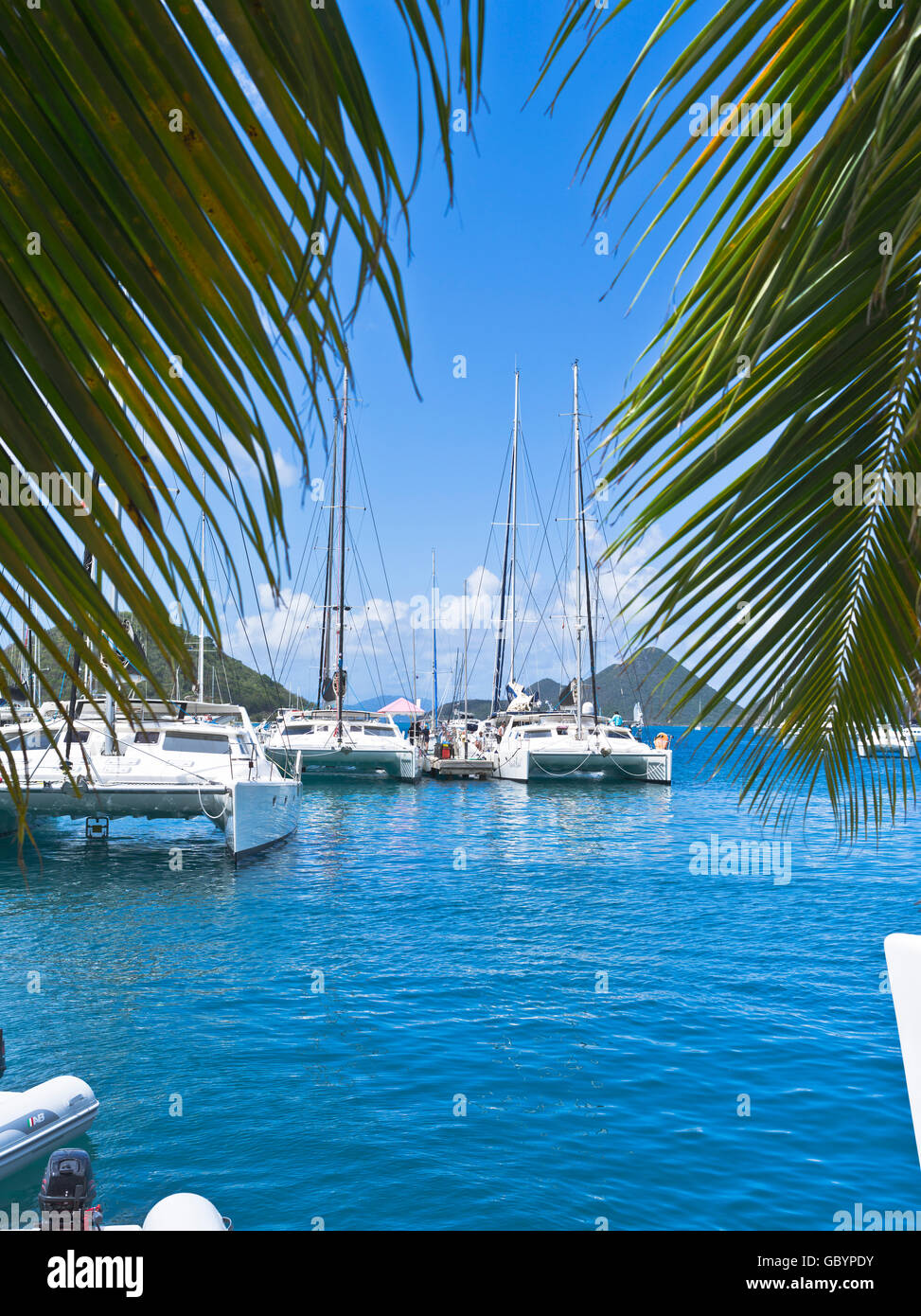 Dh Sopers Loch TORTOLA KARIBIK Yacht Marina Luxus Katamaran Boote bvi Hafen British Virgin Islands Stockfoto