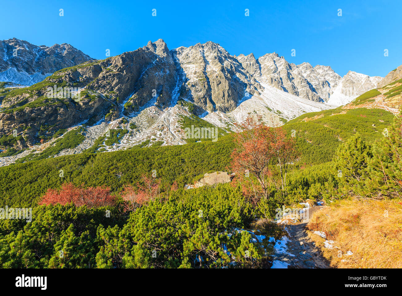 Blick auf Berge schneebedeckt in Herbstlandschaft der Hincova Tal, hohen Tatra, Slowakei Stockfoto