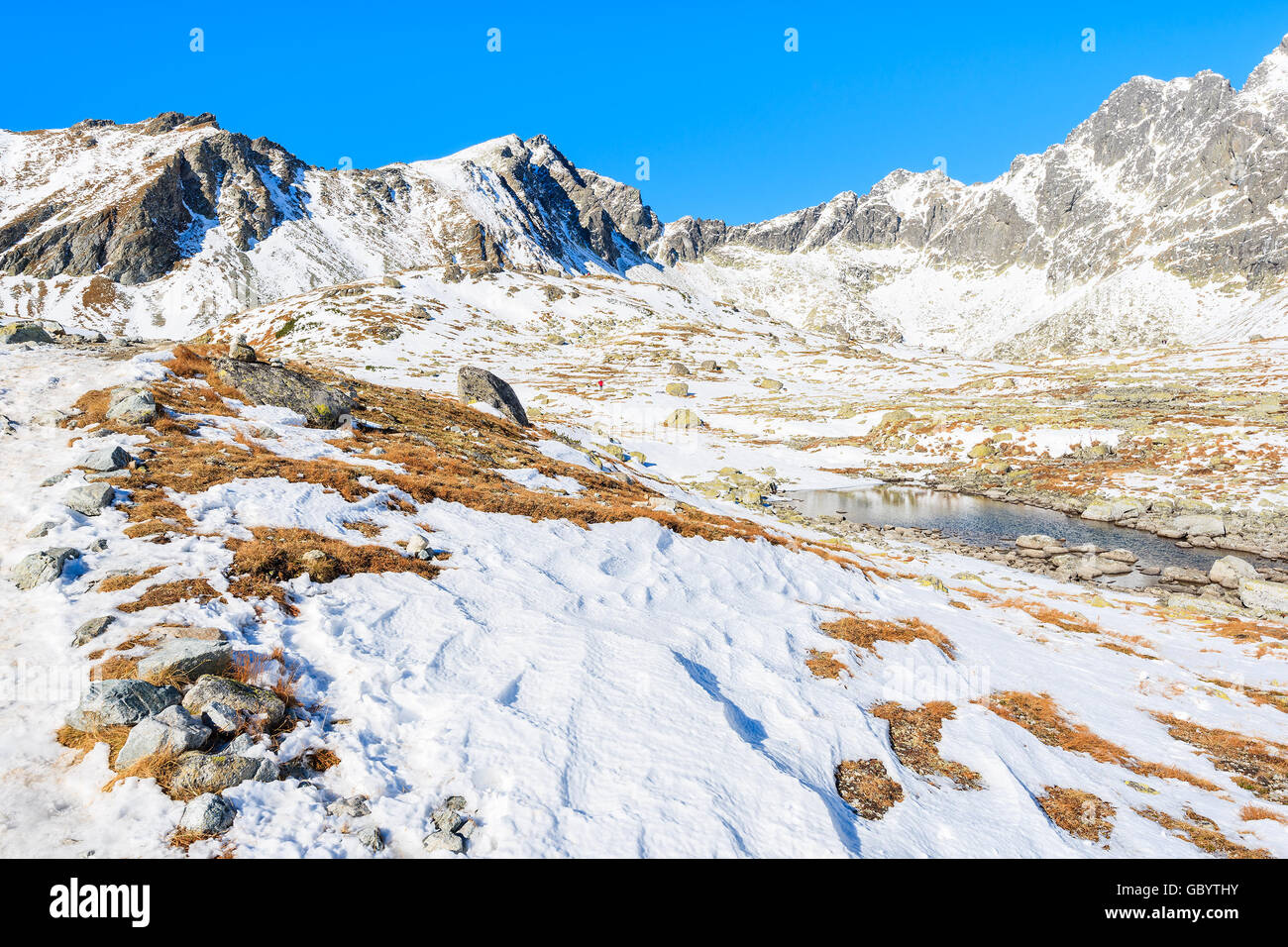 Ansicht des Hincova-Tals in Winterlandschaft der hohen Tatra, Slowakei Stockfoto