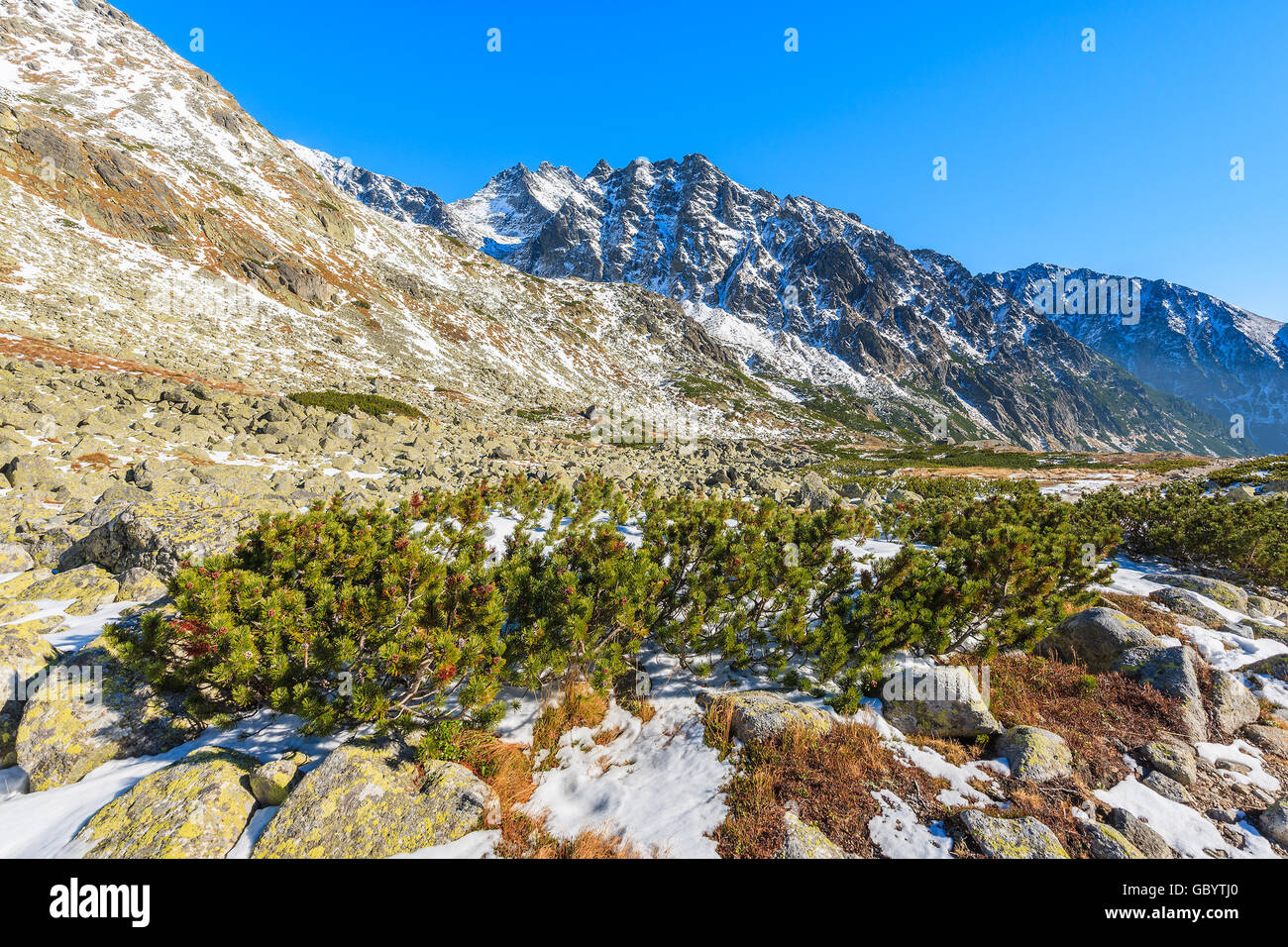 Blick auf Berge schneebedeckt in Herbstlandschaft der Hincova Tal, hohen Tatra, Slowakei Stockfoto