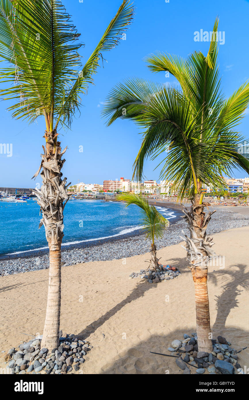 Palmen am tropischen Strand in San Juan Stadt an der Südküste von Teneriffa, Kanarische Inseln, Spanien Stockfoto