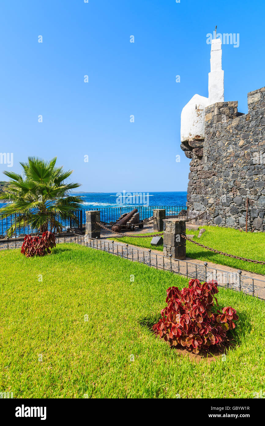 Grünen Garten in Burg San Miguel de Garachico, Teneriffa, Kanarische Inseln, Spanien Stockfoto