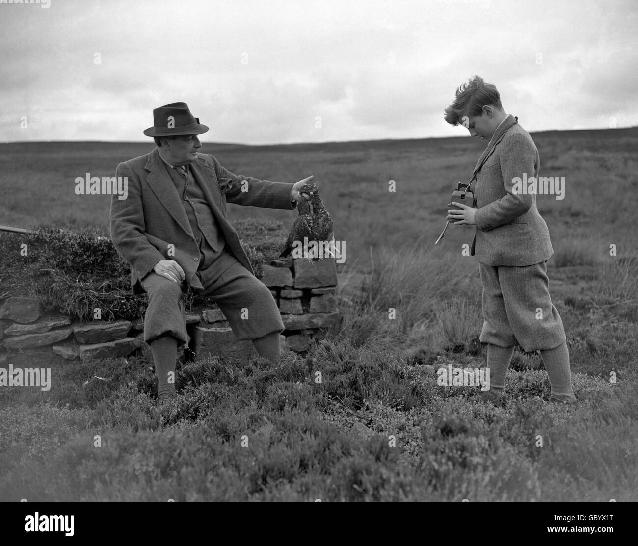 Moorhuhn schießen - Lord Swinton Party - Potts Moor - North Yorkshire Stockfoto