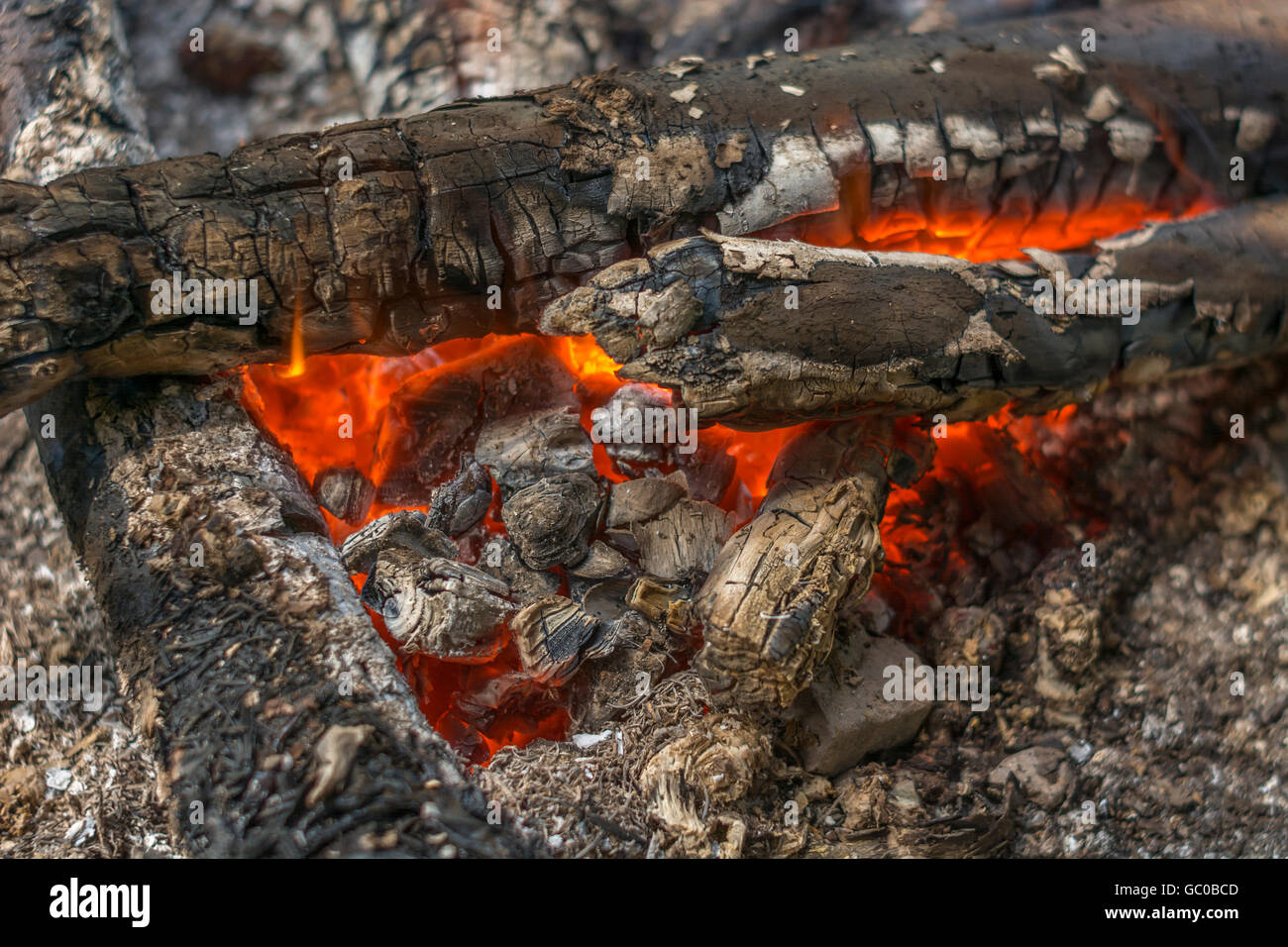 Glühende Holz Feuer für das Konzept des Überlebens Fähigkeiten, bushcraft und Camping. Brand Konzept, rote Flammen. Stockfoto
