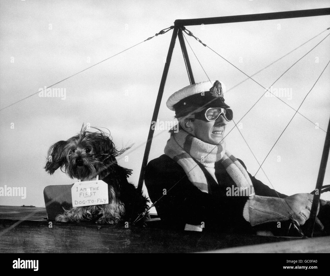 Der Schauspieler Jeremy Lloyd filiming mit Baxter The Yorkshire Terrier, der Ken Annakin gehört, dem Regisseur des Films Those Magnificent Men in Their Flying Machines, einer Komödie rund um das Daily Mail Circuit of Britain Air Race, das 1911 in Brooklands stattfand. Stockfoto