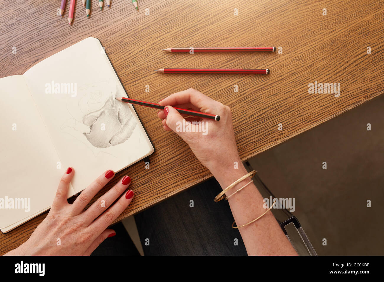 Nahaufnahme der Hände der Künstlerin arbeiten mit Bleistift-Skizze, sie sitzt an einem Tisch. Frau, die Zeichnung einer Blume mit Bleistift ske Stockfoto