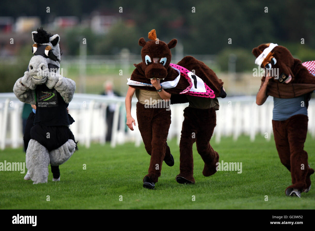 Pferderennen Sie - Comedy Night - Sandown Park Stockfoto