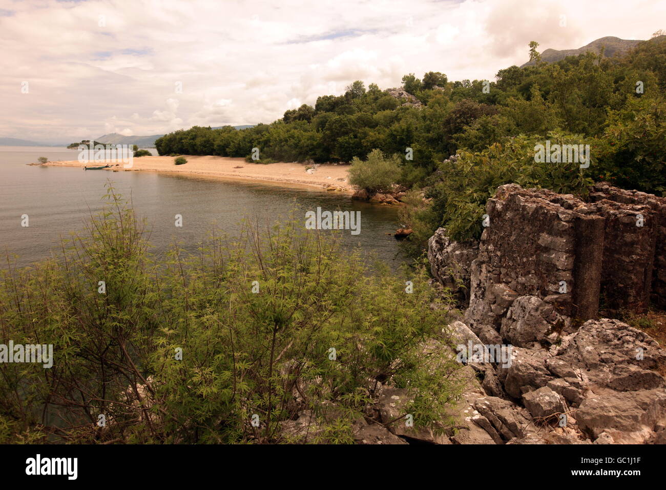 Westend den Skadarsko Jezero See oder Skadar See in Montenegro auf dem balkan in Ost-Europa. Stockfoto