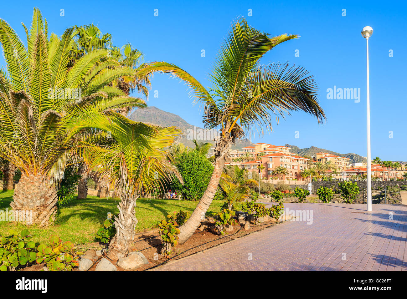 Exotische Strandpromenade mit Palmen in Costa Adeje Urlaub Stadt, Teneriffa, Kanarische Inseln, Spanien Stockfoto