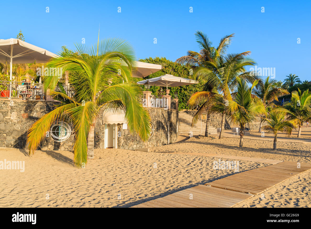 Palmen auf exotischen Strand El Duque in Costa Adeje Stadt, Teneriffa, Kanarische Inseln, Spanien Stockfoto