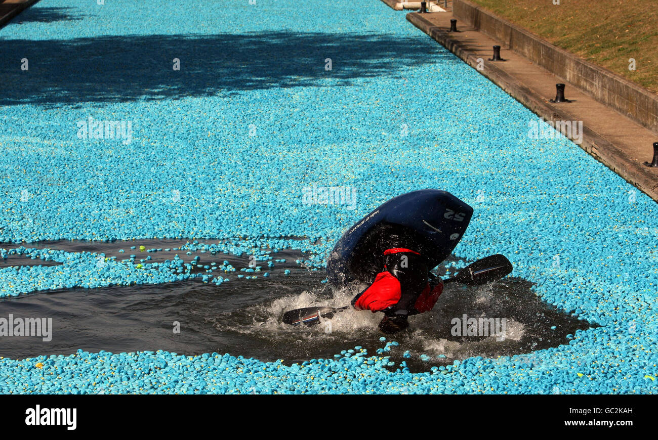 Ein Kanufahrer taucht ins Wasser, während Tausende von Plastikenten die Themse in Hampton Court, Surrey hinunter segeln, während sie am 3. Great British Duck Race teilnehmen, um Geld für den NSPCC zu sammeln. Stockfoto