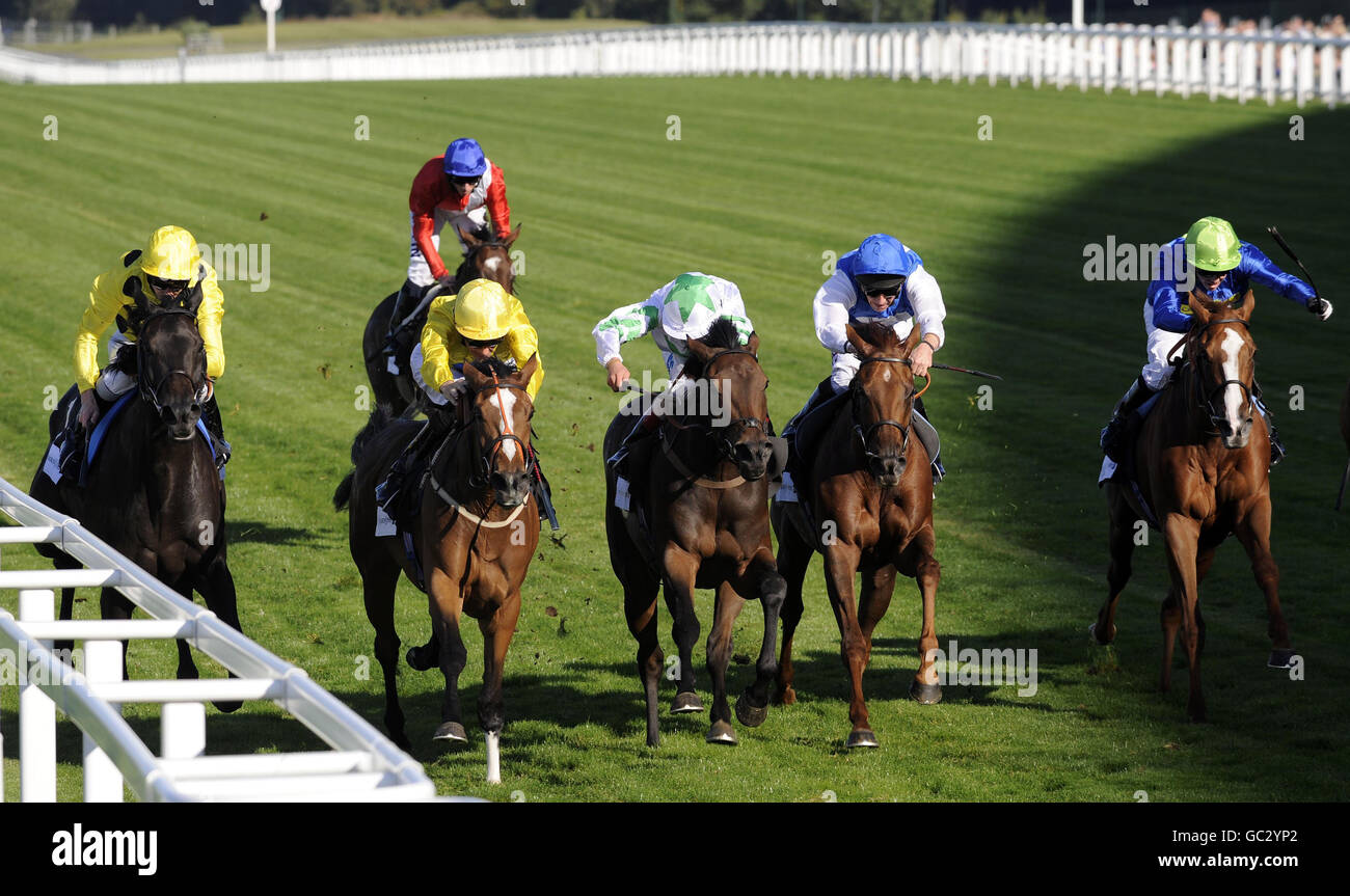 Horse Racing - dritte Ascot Racecourse Bierfestival - Tag eins - Ascot Racecourse Stockfoto