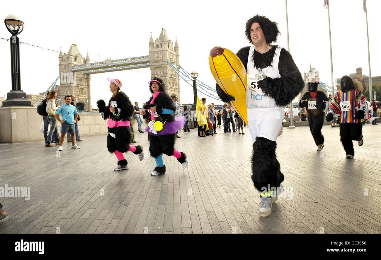 Wohltätigkeitsläufer, die als Gorillas verkleidet sind, laufen am Südufer der Themse nahe der Tower Bridge entlang, während sie am Great Gorilla Run 2009 in London teilnehmen. Stockfoto