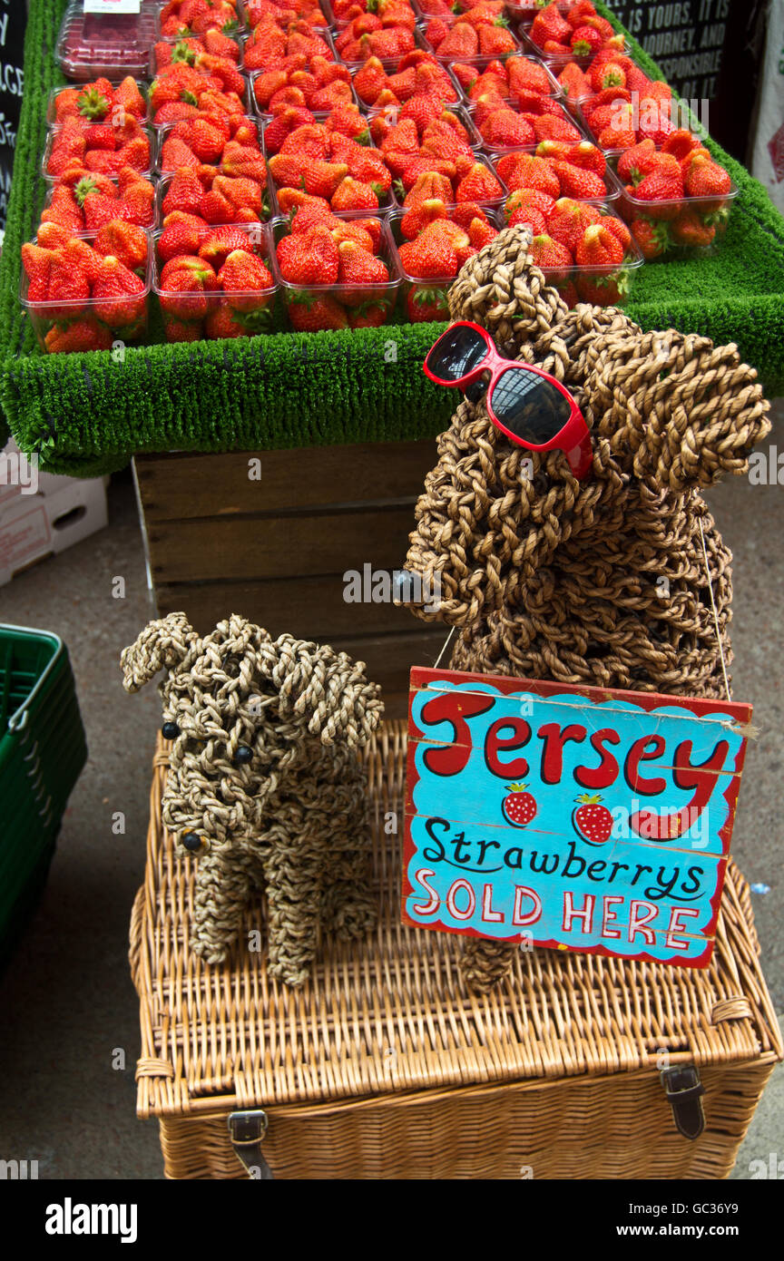 Erdbeeren auf den Zentralmarkt, Jersey, Kanalinseln Stockfoto