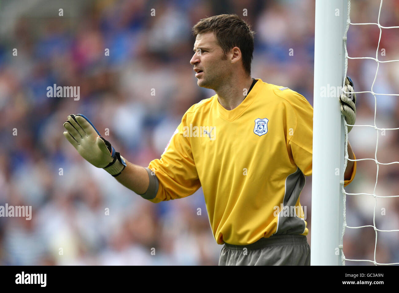 Fußball - Coca-Cola Football League Championship - Cardiff City / Bristol City - Cardiff City Stadium. David Marshall, Torwart von Cardiff City Stockfoto