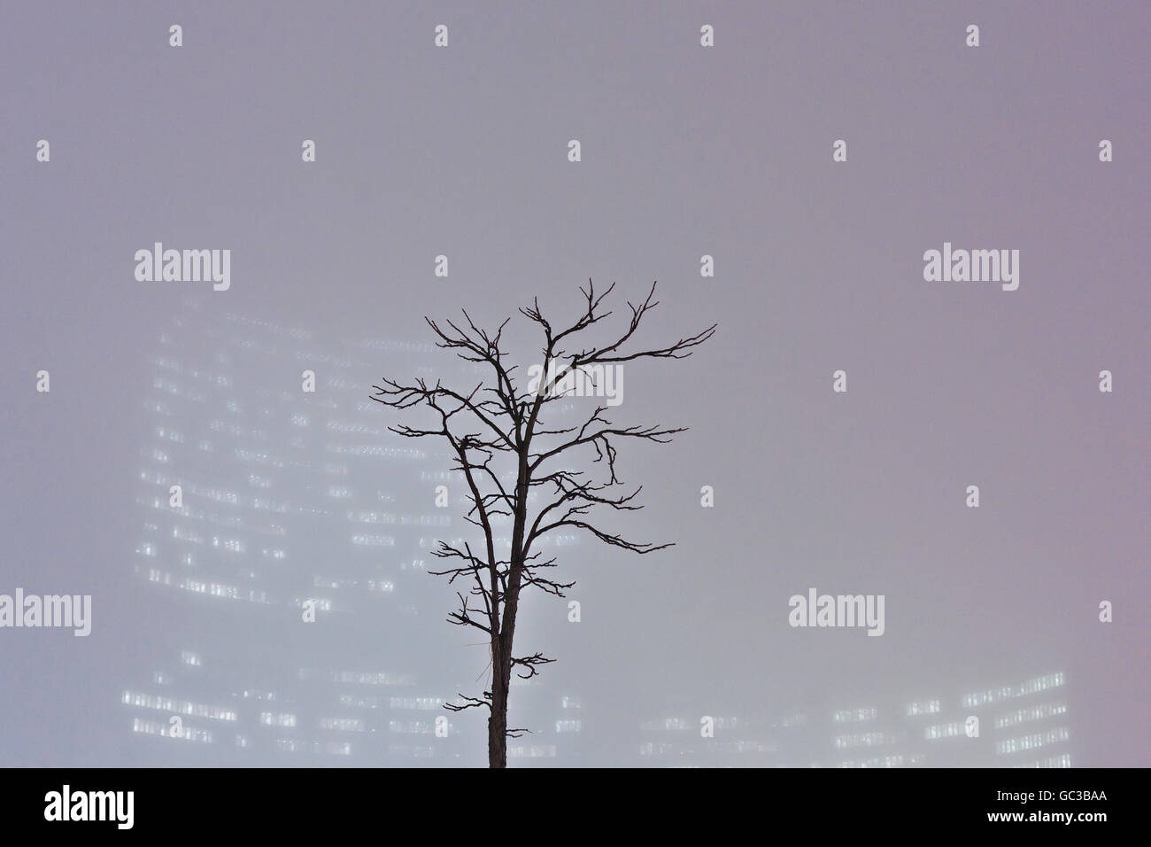 Vienna International Centre, auch bekannt als UNO-City in nebligen Wetter, Wien, Österreich, Europa Stockfoto