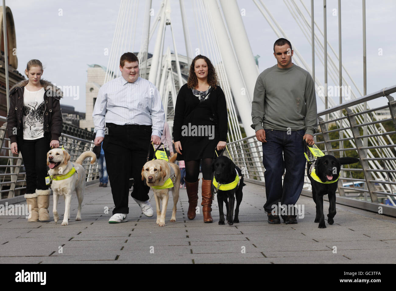 Nächstenliebe Blindenhunde Stockfoto