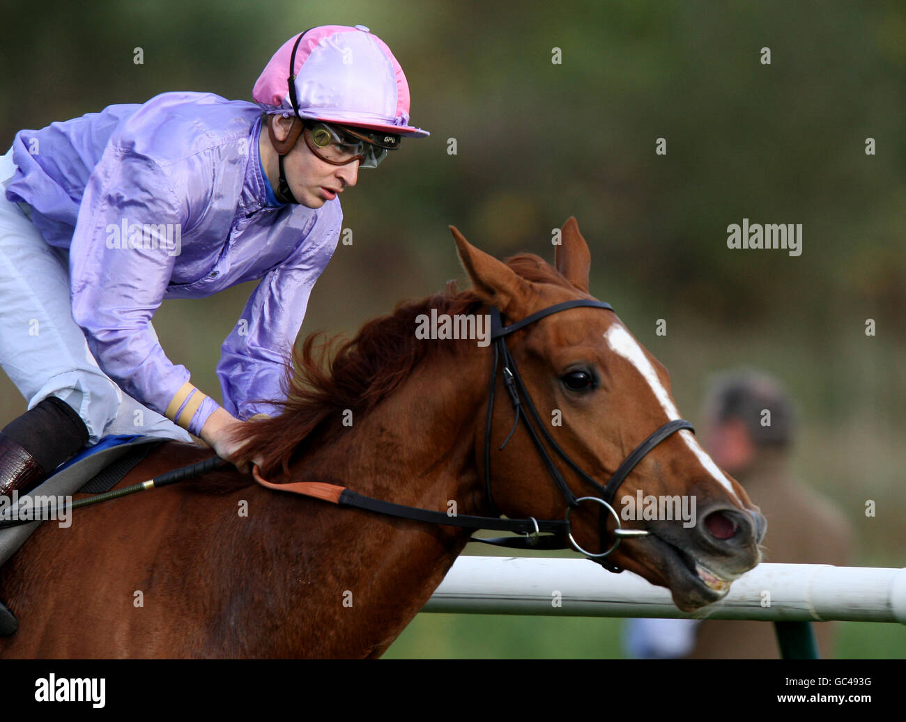 Benozzo Gozzoli (r) unter Nicky Mackay kommt nach Hause Gewinnen Sie die Hallgarten Druitt Wine Handicap-Einsätze Stockfoto