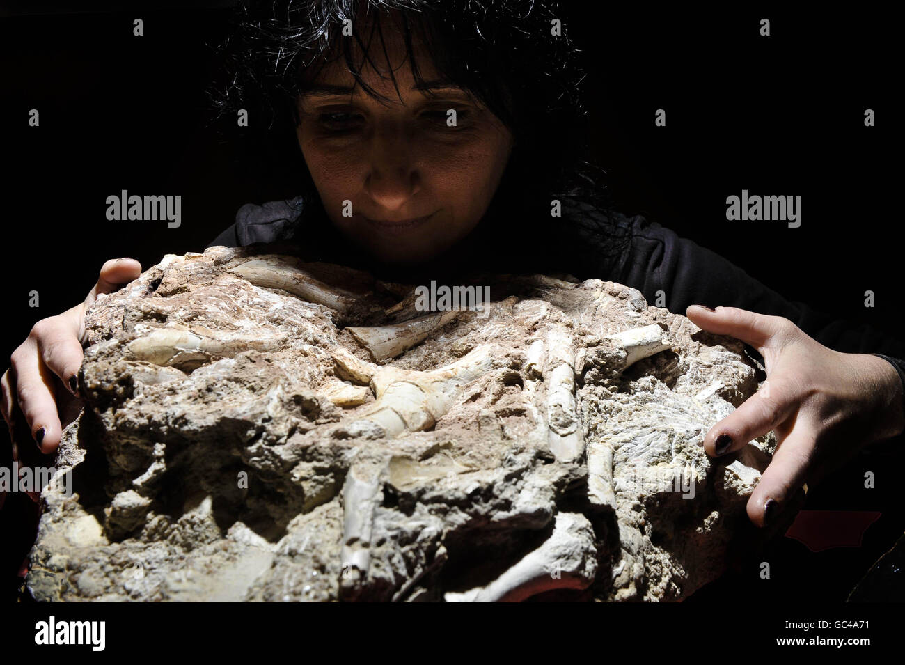 Judyth Sassoon, Meisterschülerin, inspiziert im Bristol Museum die in Gestein gehüllten Knochen des Thecondontosaurus antiquus, da sie nun eine Finanzierung erhalten haben, um die Knochen aus vier Tonnen Gestein auszugraben, die Fragmente des ältesten Dinosauriers Großbritanniens enthalten. Stockfoto