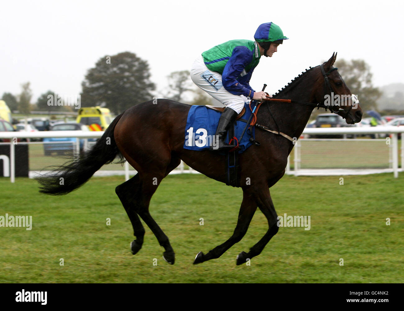 Pferderennen - Ludlow Rennbahn. Der Jockey Charlie Poste von Ravine Rose wird in der Hürde der Juvenile-Anfänger von „Best Racing on Racing UK“ gepostet Stockfoto